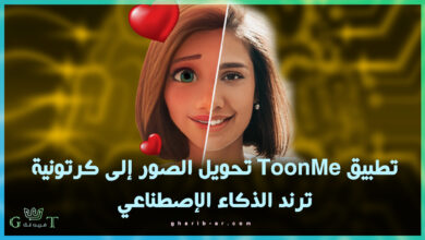 ToonMe Photo